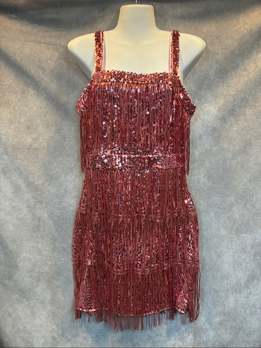 Sequin Fringe Mini Dress in Rose NWOT